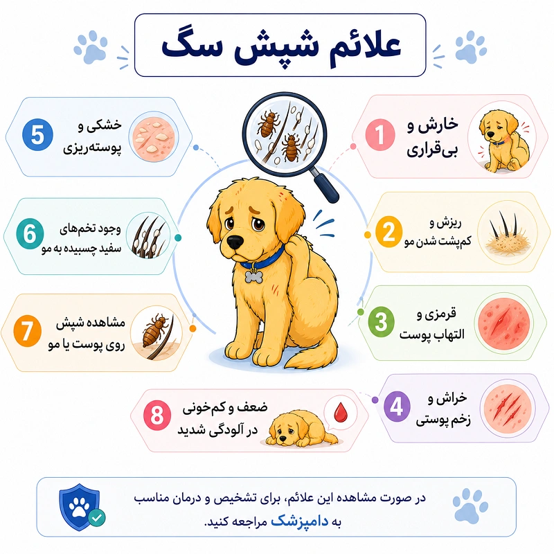 علائم شپش سگ