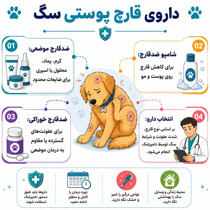 داروی قارچ پوستی در سگ