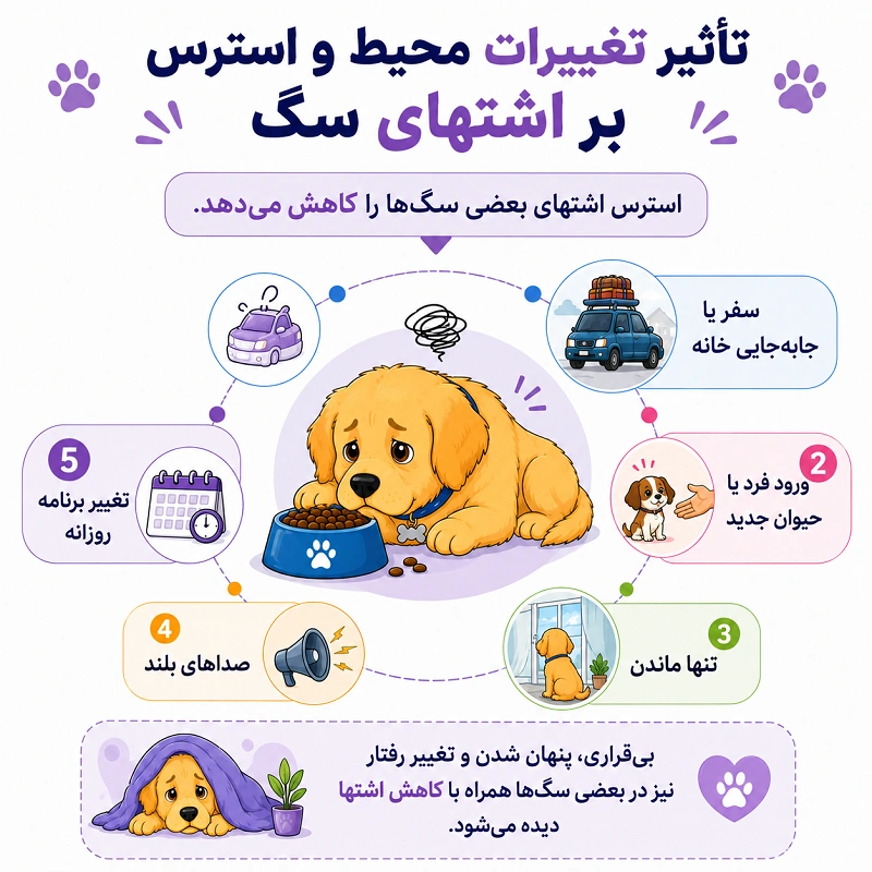 تاثیر تغییرات محیط و استرس بر اشتهای سگ