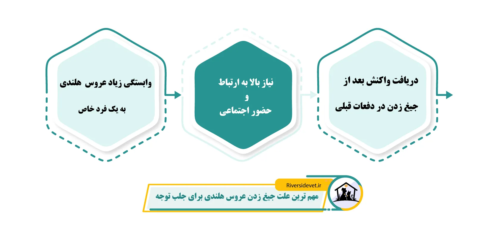 مهم ترین علت جیغ زدن عروس هلندی برای جلب توجه&nbsp;&nbsp;