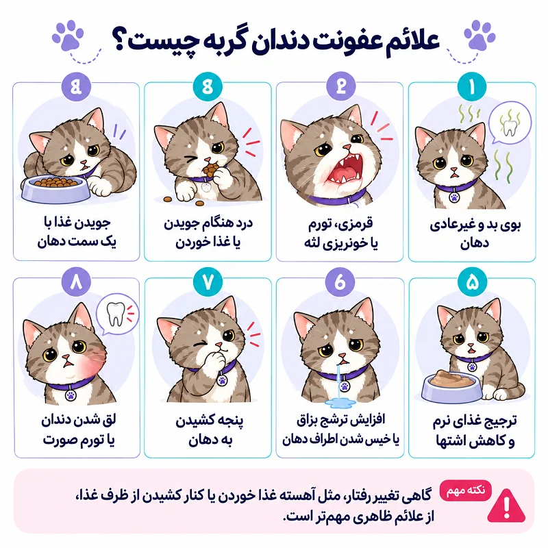 علائم عفونت دندان گربه چیست؟