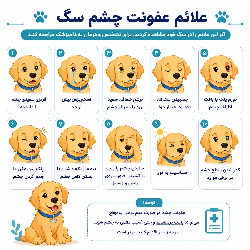 علائم عفونت چشم سگ