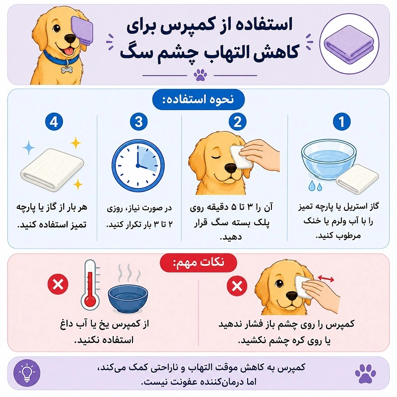 استفاده از کمپرس برای کاهش التهاب چشم سگ