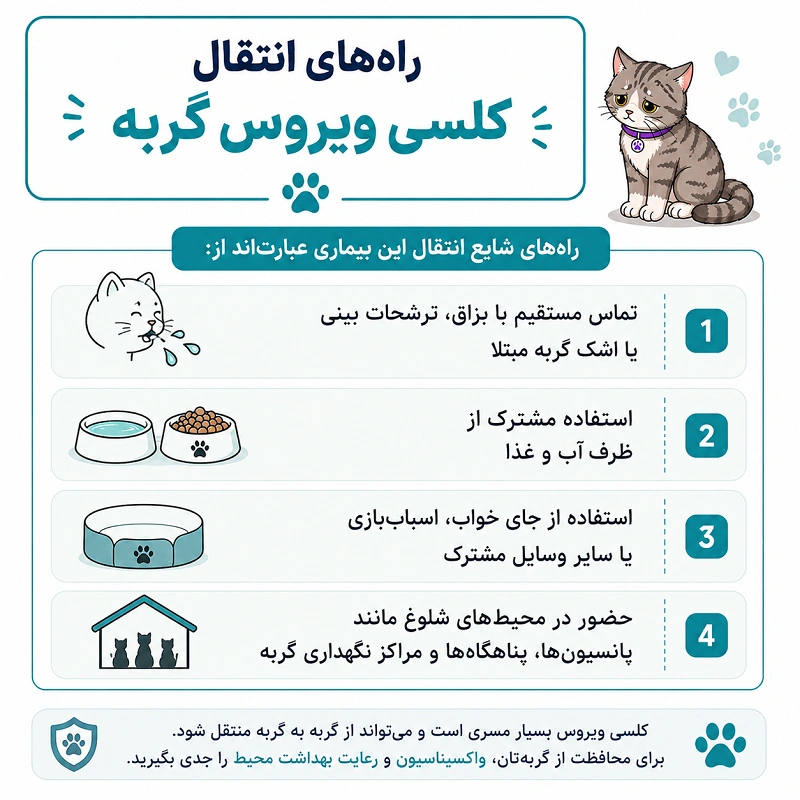 راههای انتقال کلسی ویروس گربه