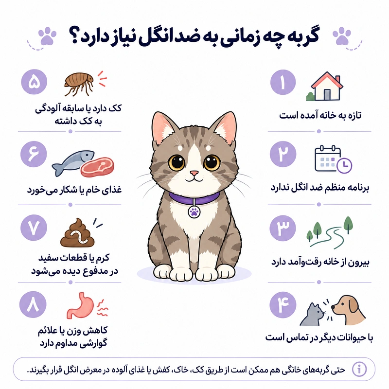 گربه چه زمانی به ضد انگل نیاز دارد