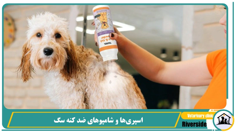 اسپریها و شامپوهای ضدکنه