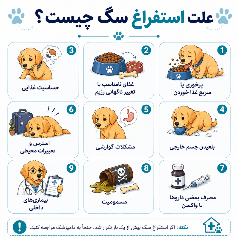 علت استفراغ سگ