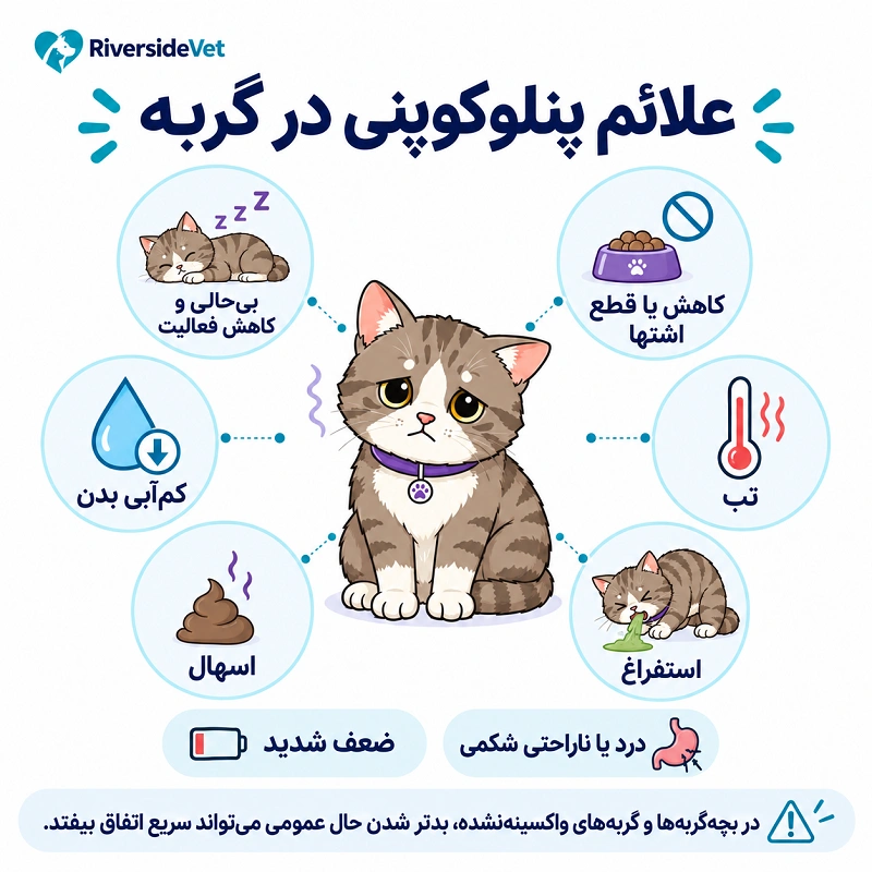 علائم پنلوکوپنی در گربه ها