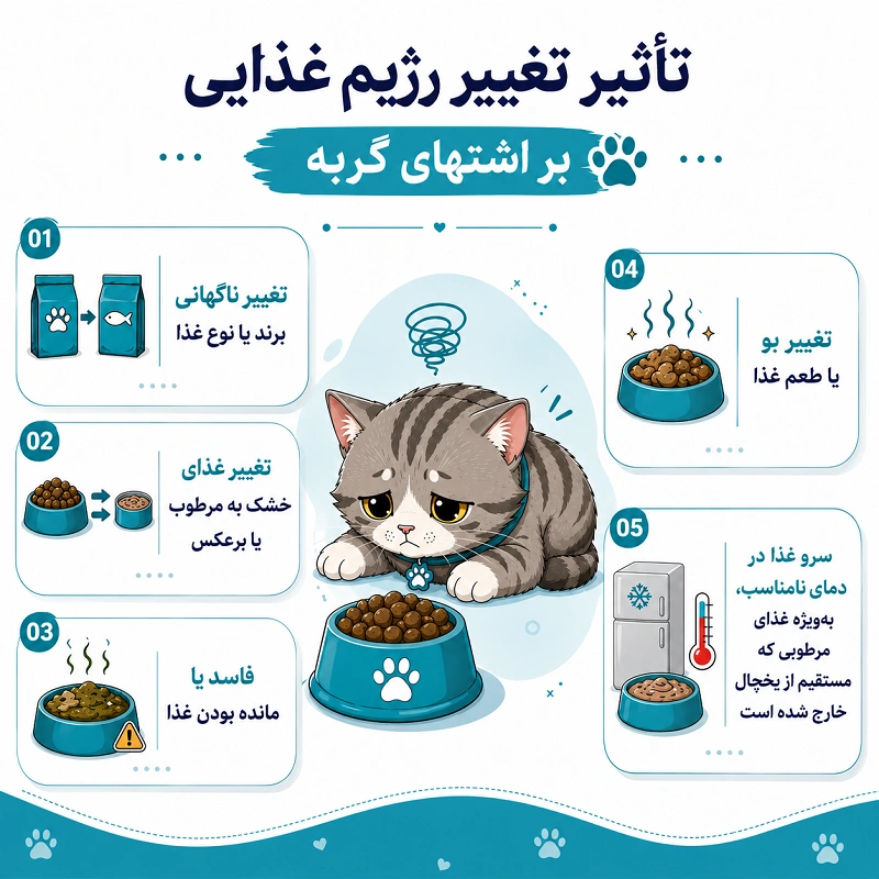 تأثیر تغییر رژیم غذایی بر اشتهای گربه