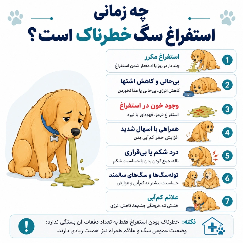 چه زمانی استفراغ سگ خطرناک است