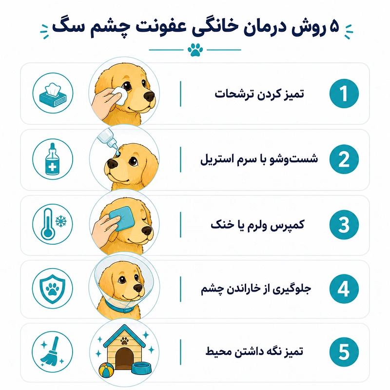 5 روش درمان عفونت چشم سگ در خانه