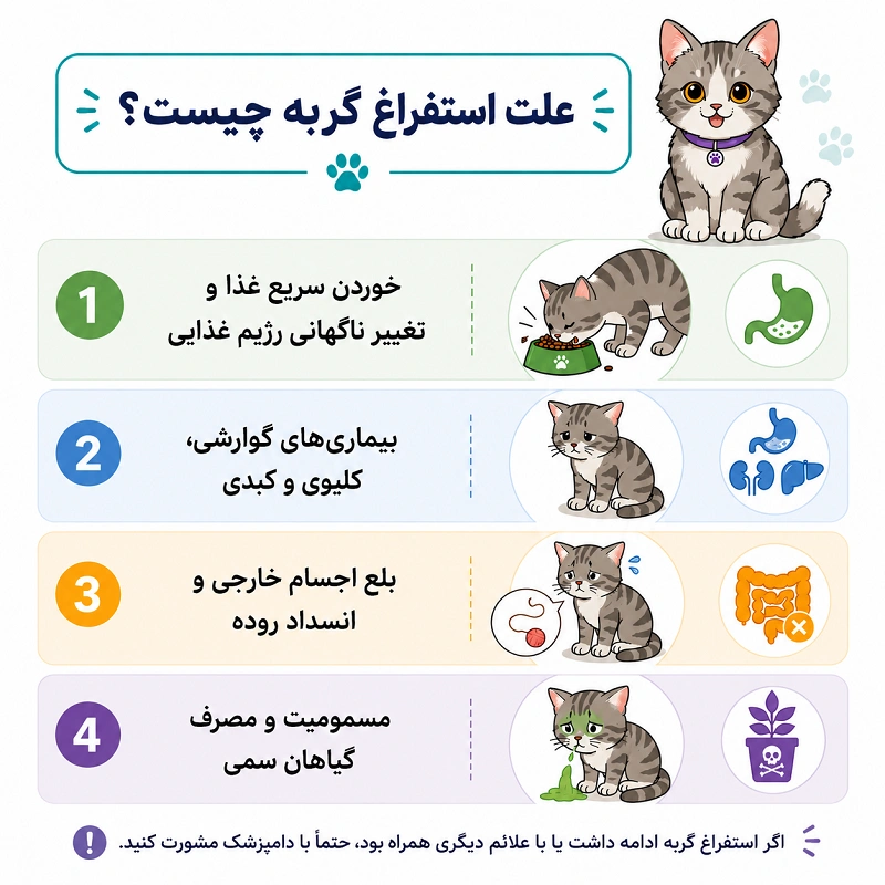 علت استفراغ گربه چیست؟