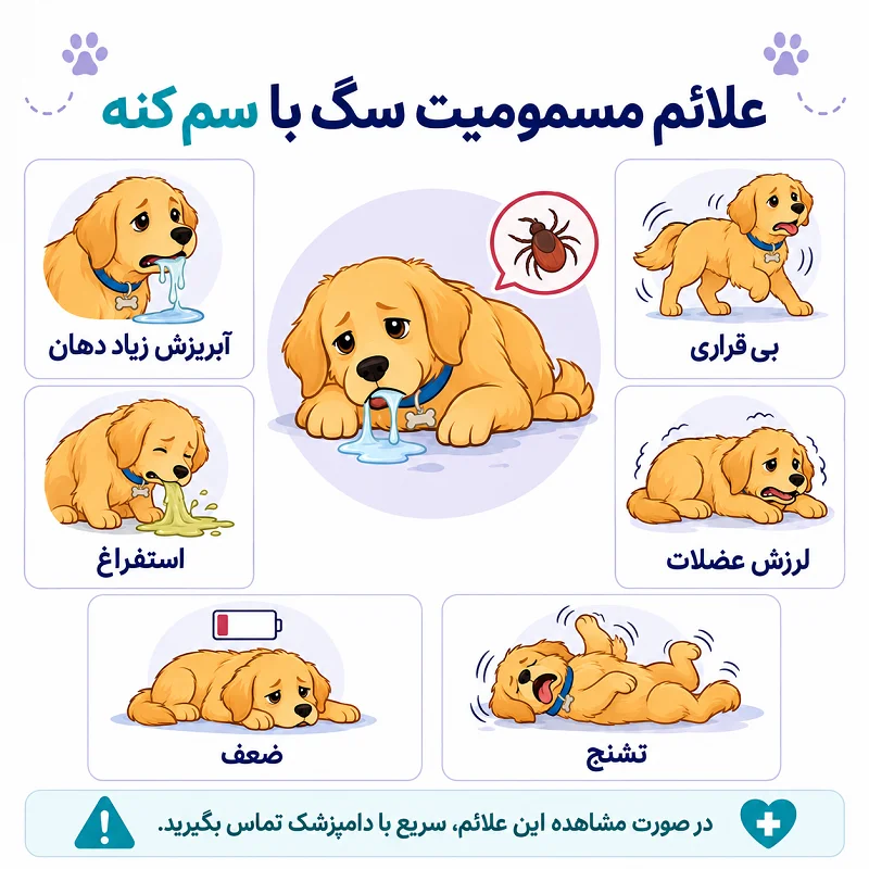 مسمومیت سگ با سم کنه