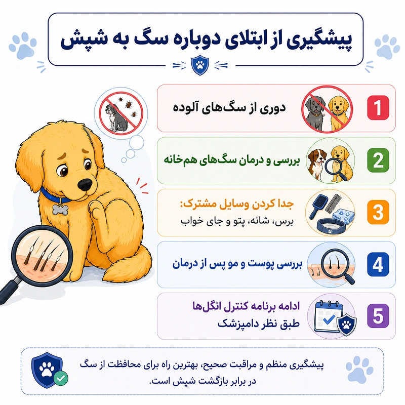 جلوگیری از شپش سگ