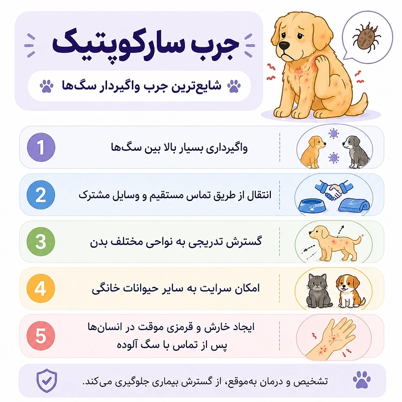 جرب سارکوپتیک