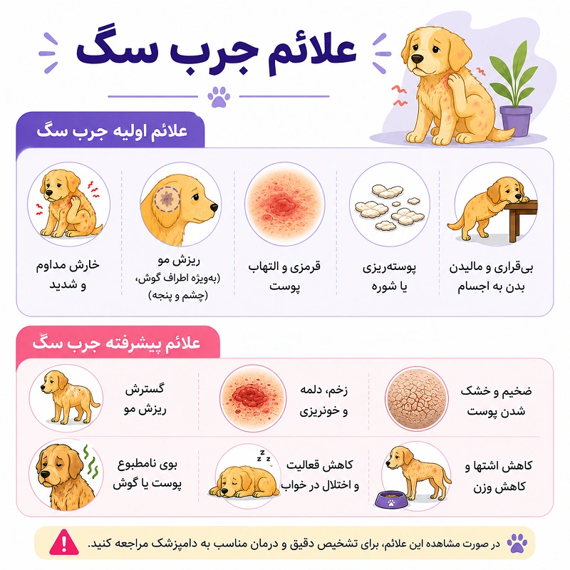 علائم جرب سگ