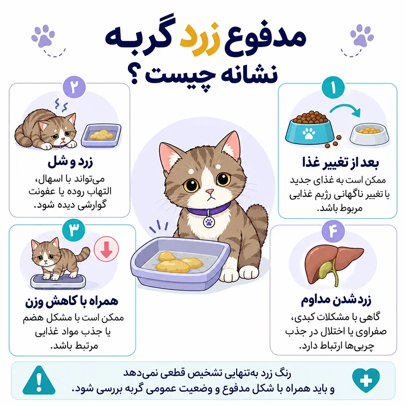 مدفوع زرد گربه نشانه چیست؟