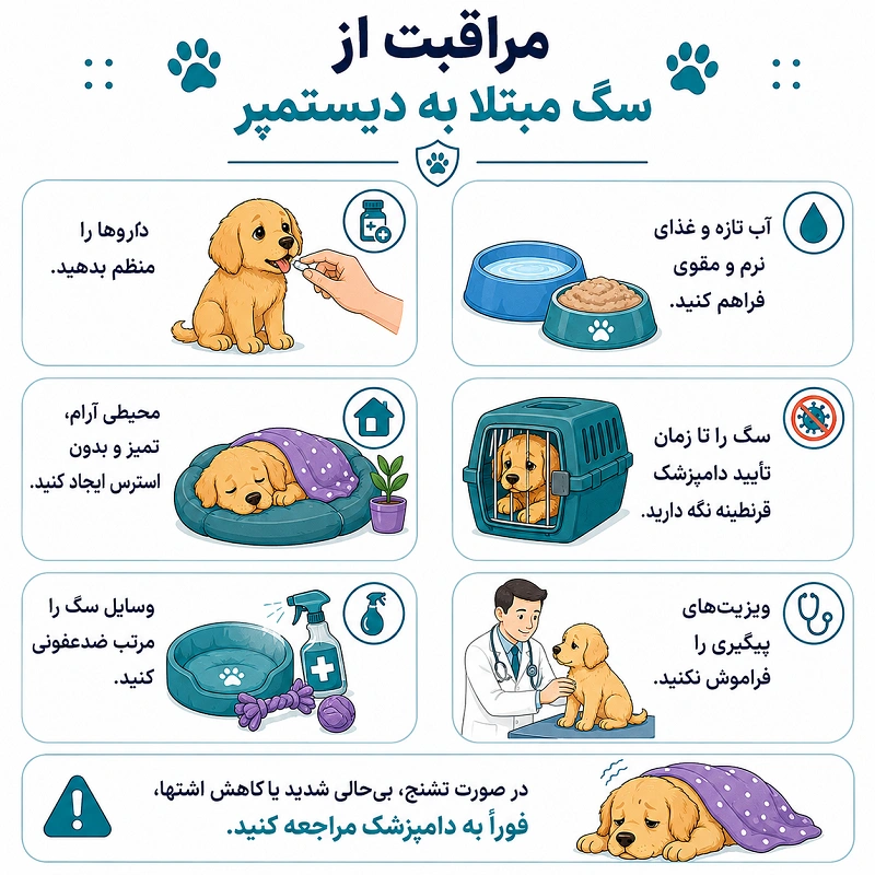مراقبت از سگ مبتلا به دیستمپر