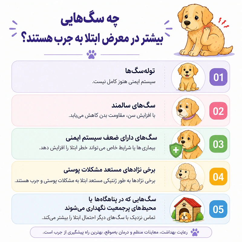چه سگهایی بیشتر در معرض ابتلا به جرب هستند؟