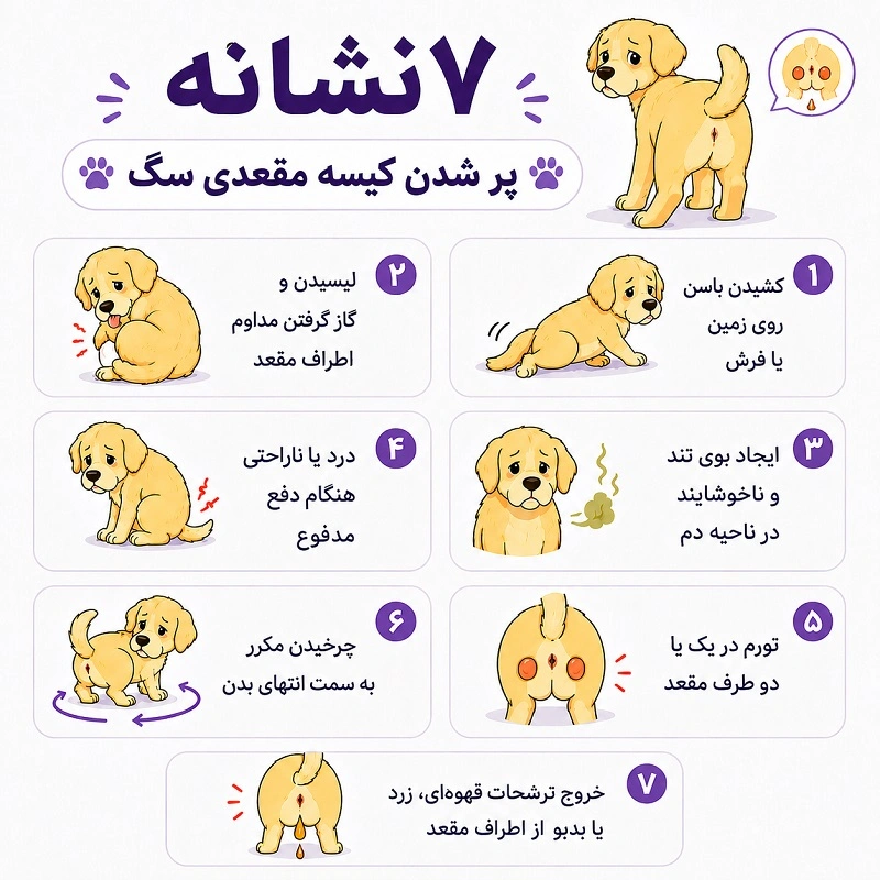 مهمترین علائم پر شدن کیسه مقعدی سگ