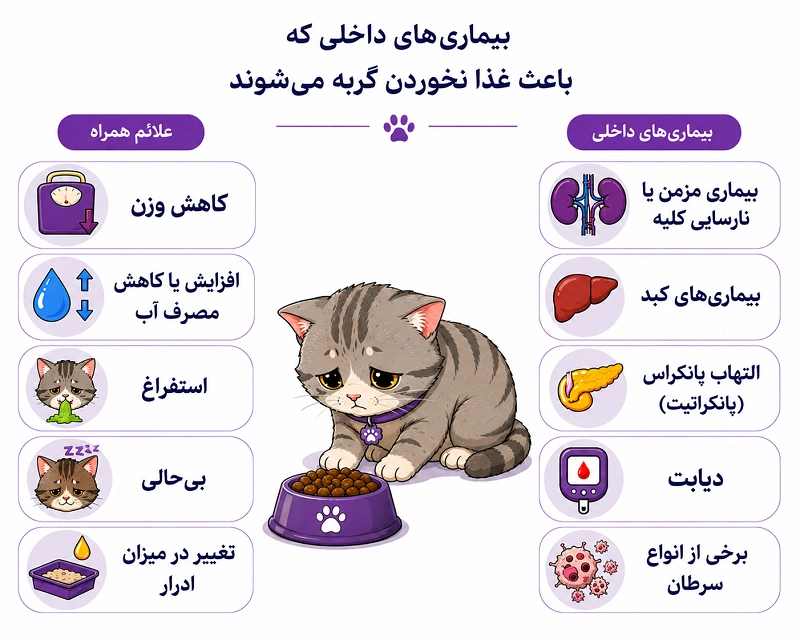 بیماری‌هایی که بیشتر باعث غذا نخوردن گربه می‌شوند