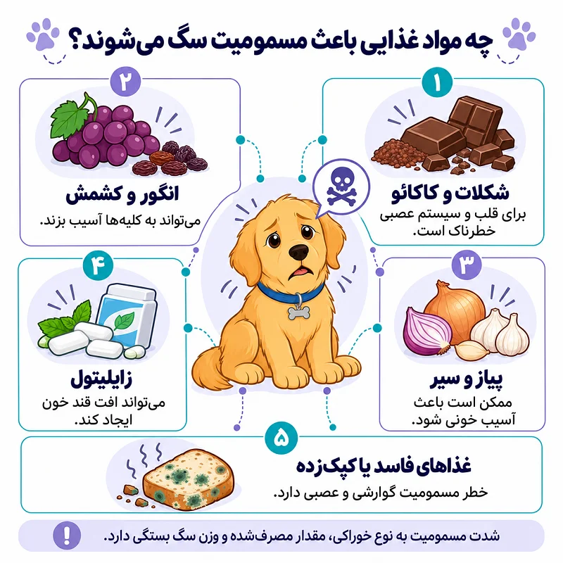 چه غذاهایی باعث مسمومیت سگ می شوند
