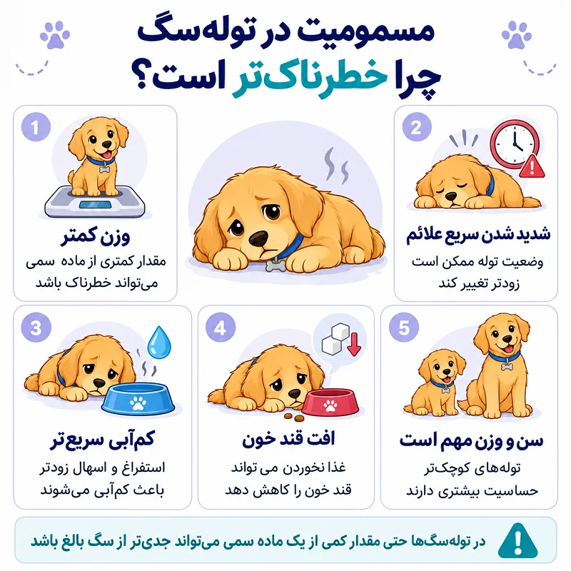 مسمومیت در توله‌ سگ چه تفاوتی با سگ بالغ دارد؟