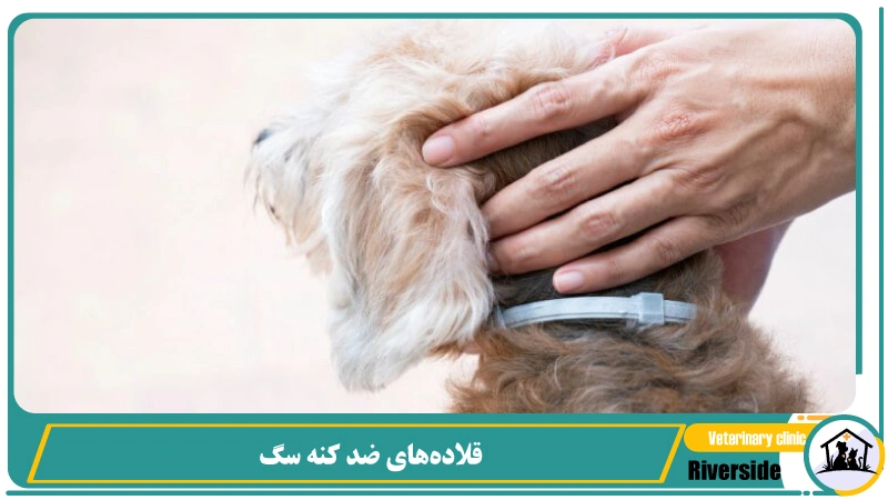 قلاده های ضد کنه سگ