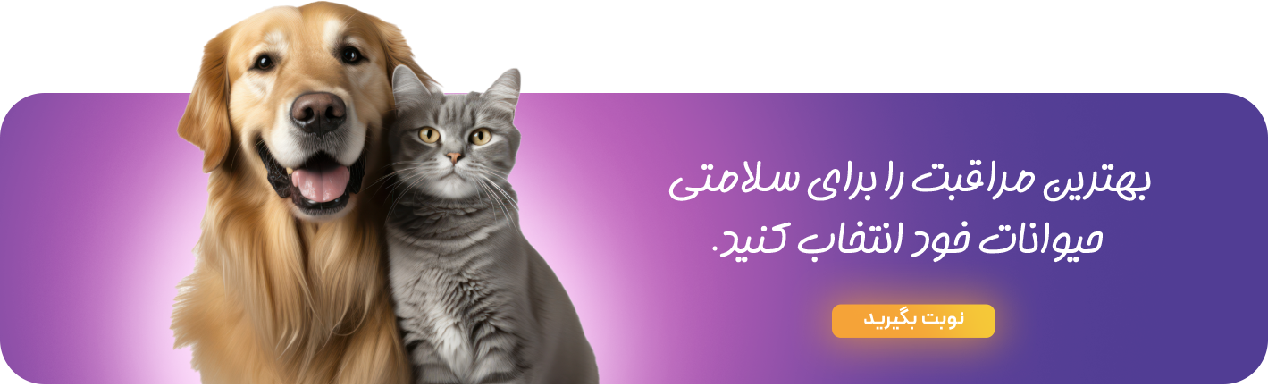 بهترین مراقبت برای سلامتی