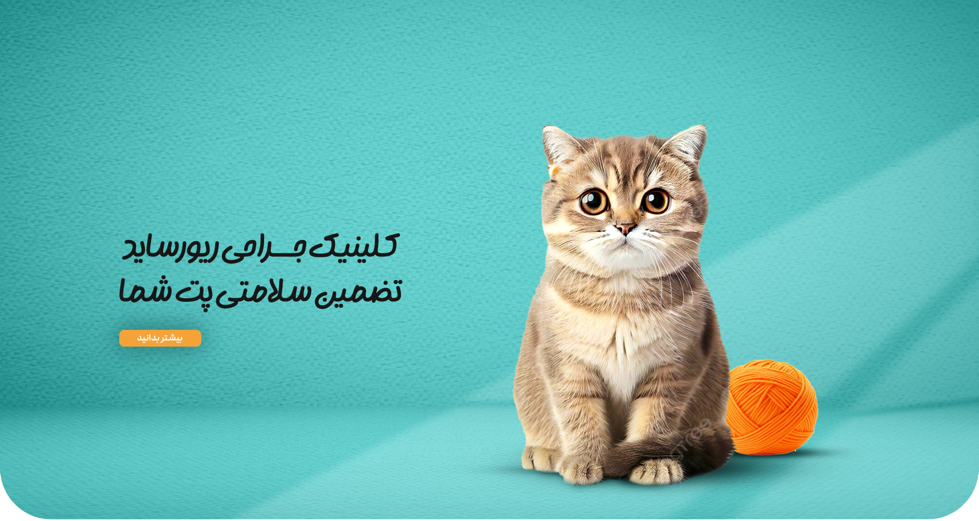 ریورساید