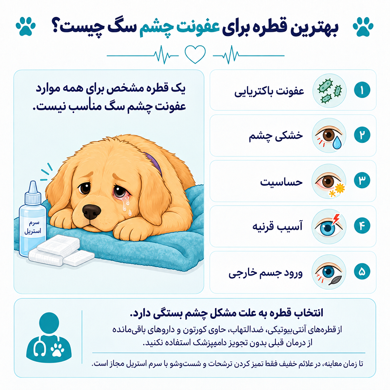 بهترین قطره برای عفونت چشم سگ