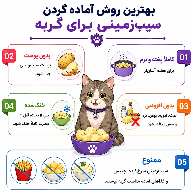بهترین روش اماده کردن سیب زمینی برای گربه