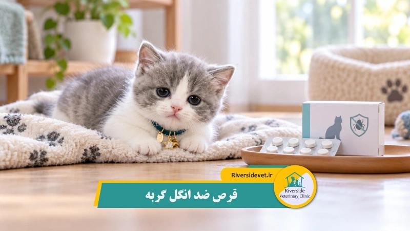 قرص ضد انگل گربه