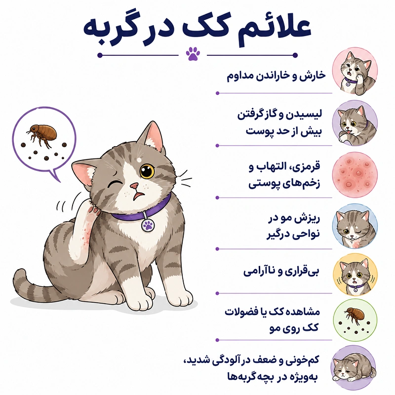 علائم کک در گربه