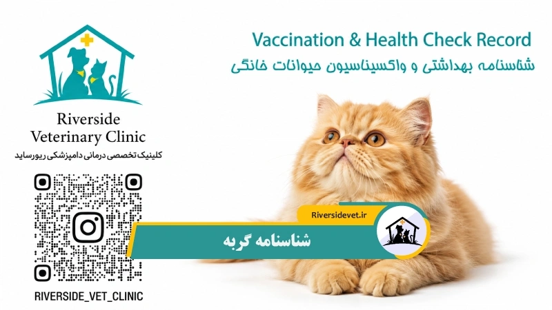 شناسنامه گربه 