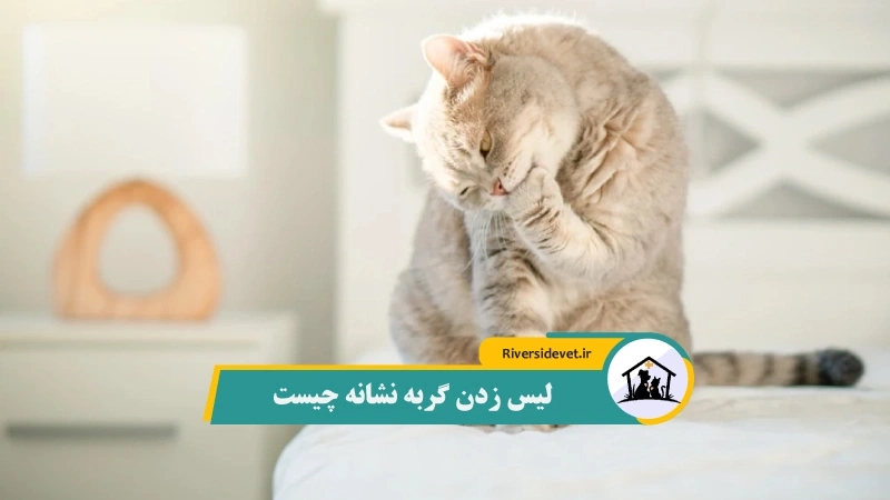 لیس زدن گربه نشانه چیست؟