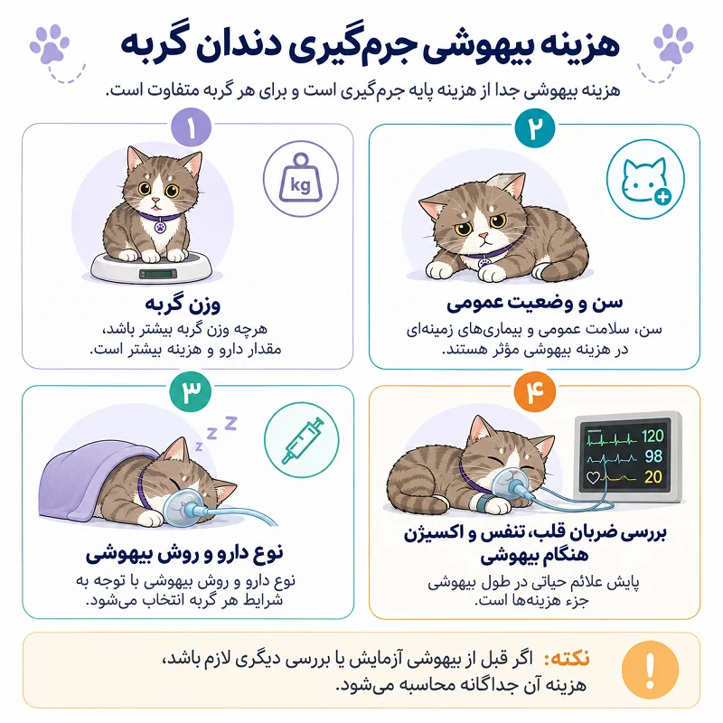 هزینه بیهوشی جرم گیری دندان گربه چقدر است؟