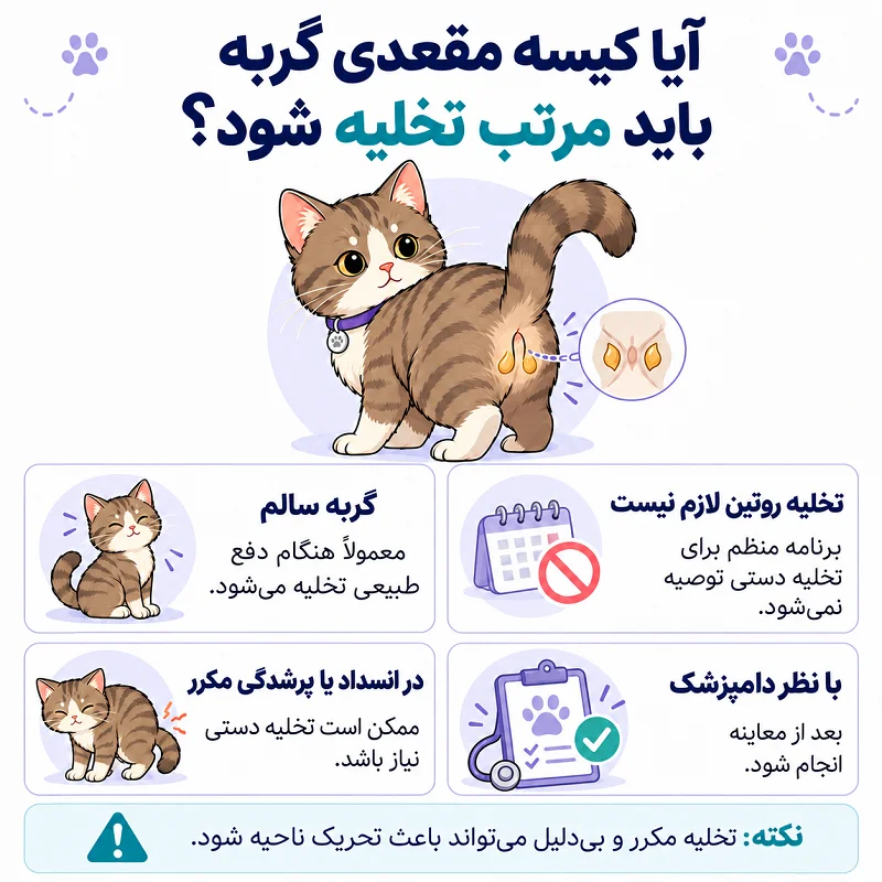 آیا کیسه مقعدی گربه باید مرتب تخلیه شود؟