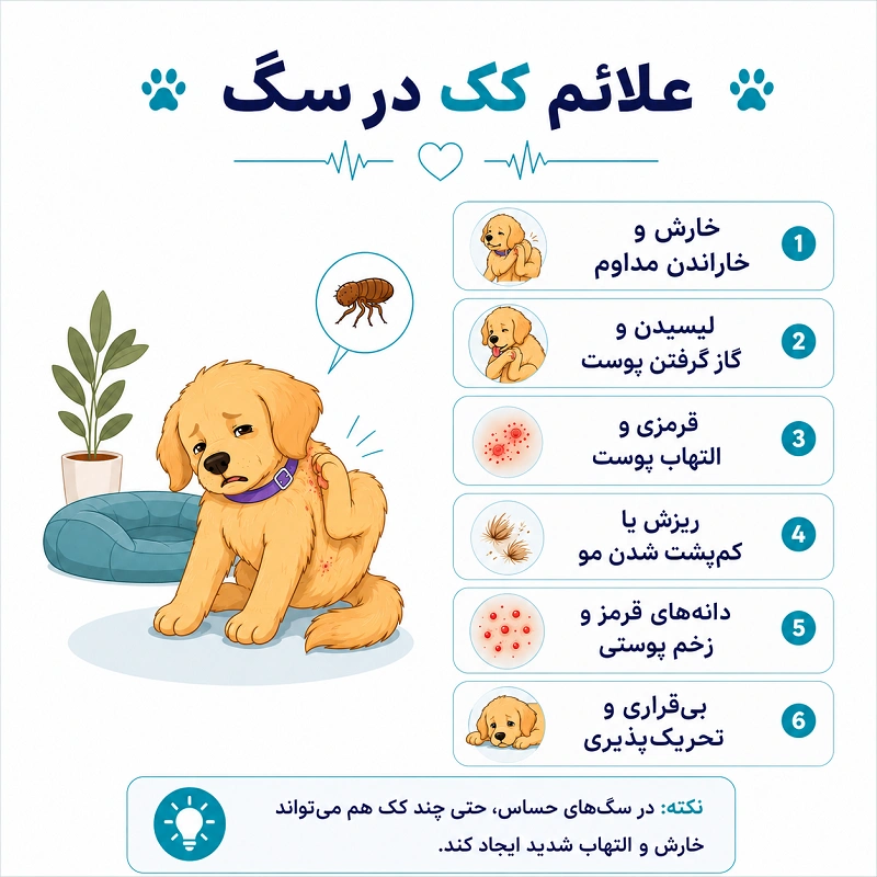 علائم کک در سگ