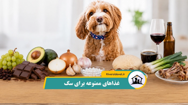 غذاهای ممنوعه برای سگ‌ها