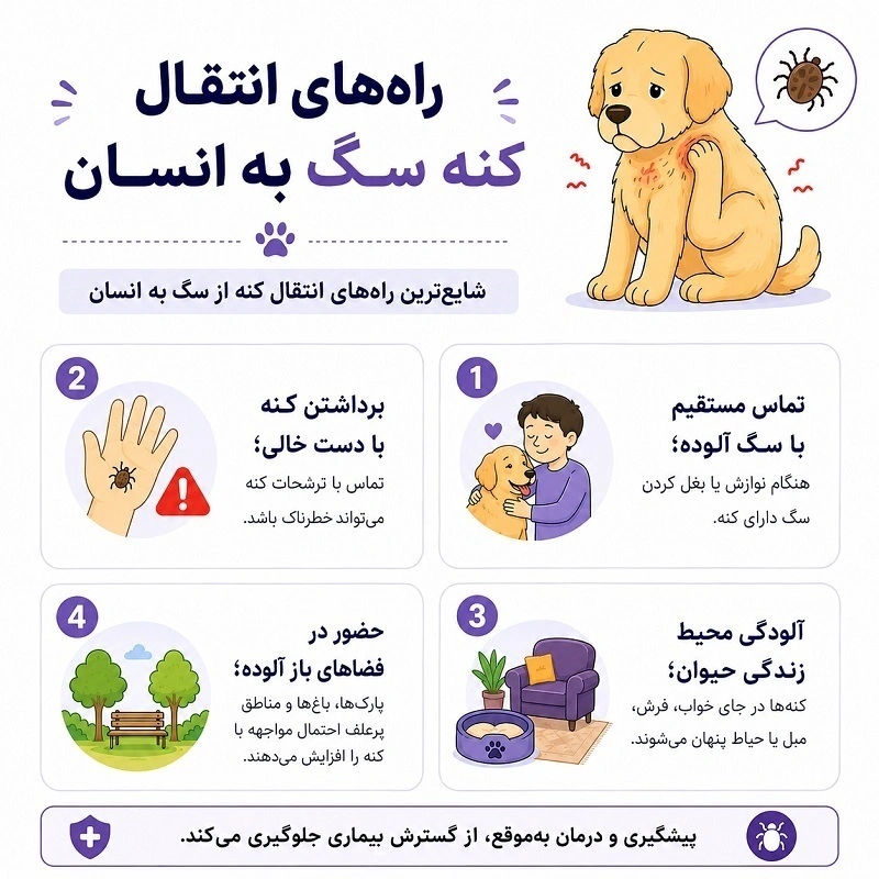 راه های انتقال کنه سگ به انسان