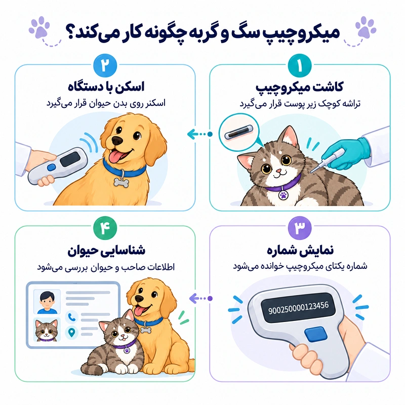 میکروچیپ سگ یا گربه چگونه کار می کند