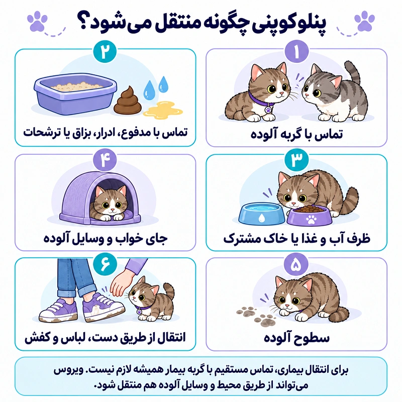 راه های انتقال پنلوکوپنی گربه