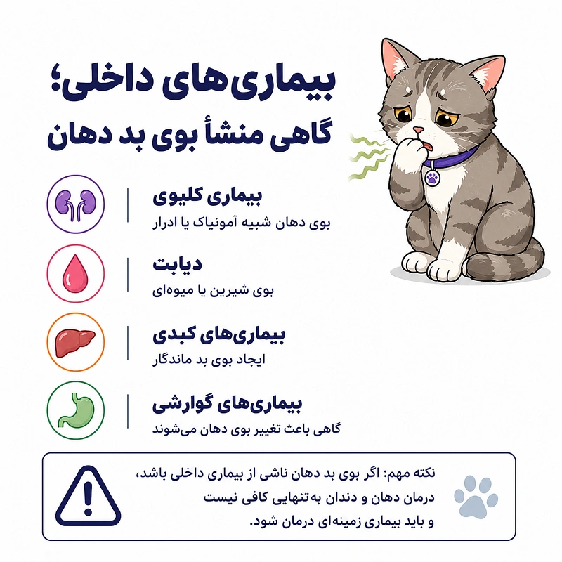 بیماری های داخلی در گربه