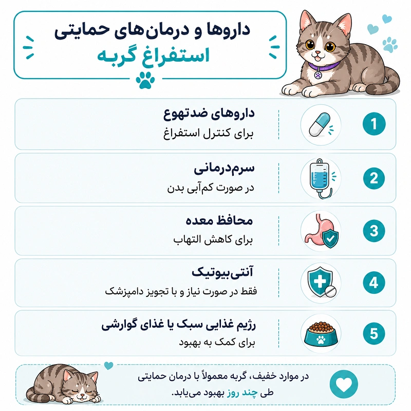 داروها و درمانهای حمایتی برای استفراغ گربه