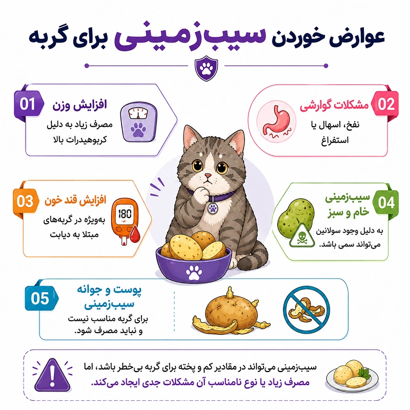 عوارض خوردن سیب زمینی برای گربه