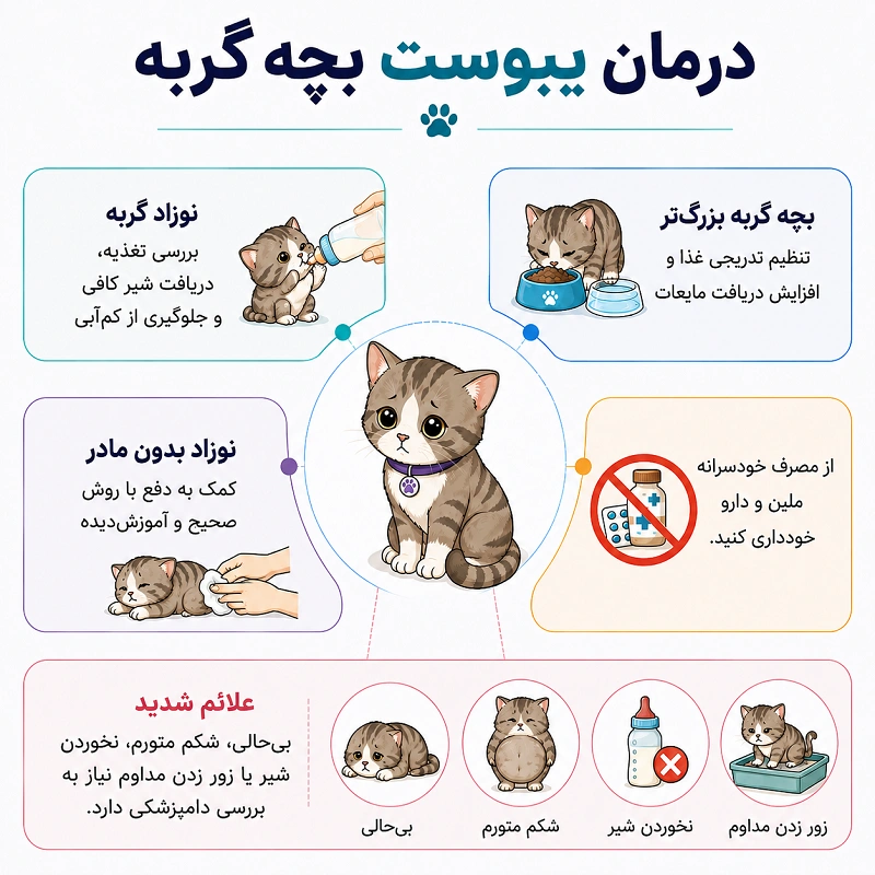 درمان یبوست بچه گربه