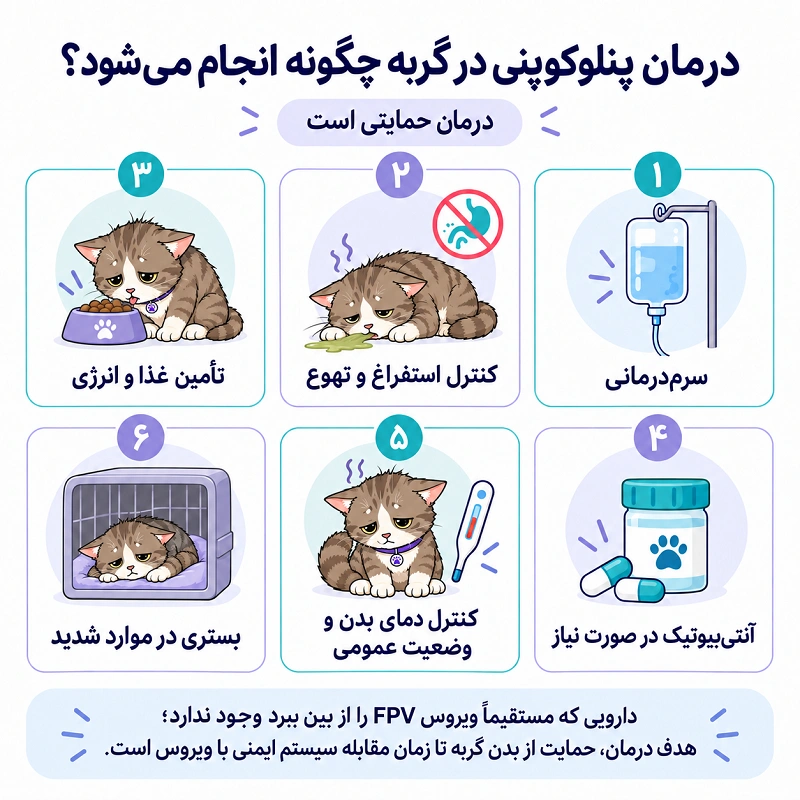 درمان پنلوکوپنی گربه ها