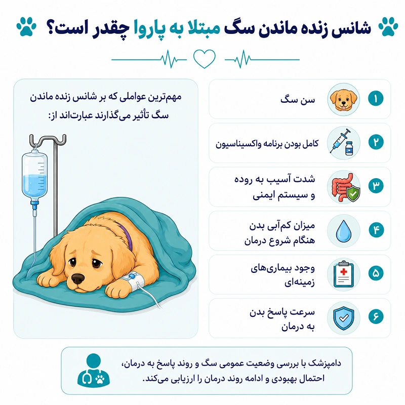شانس زنده ماندن سگ مبتلا به پاروا چقدر است؟