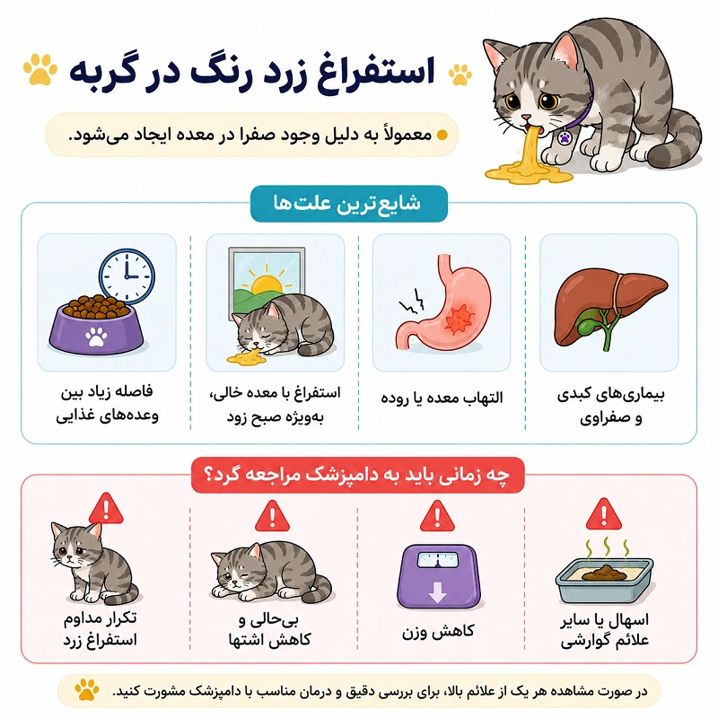 what-does-yellow-vomit-cat-indicate